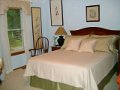 Bedding & Pillows